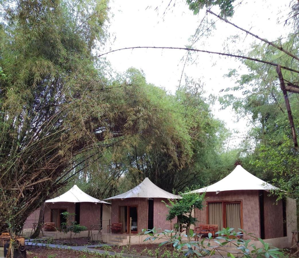 Jawa Jiwa G-Land Resort Dadapan Luaran gambar