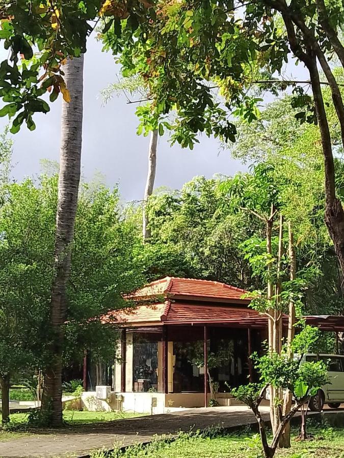 Jawa Jiwa G-Land Resort Dadapan Luaran gambar
