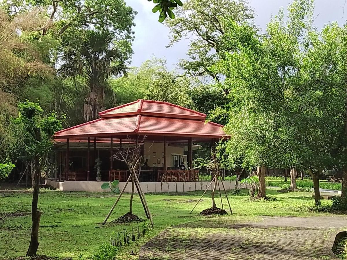 Jawa Jiwa G-Land Resort Dadapan Luaran gambar