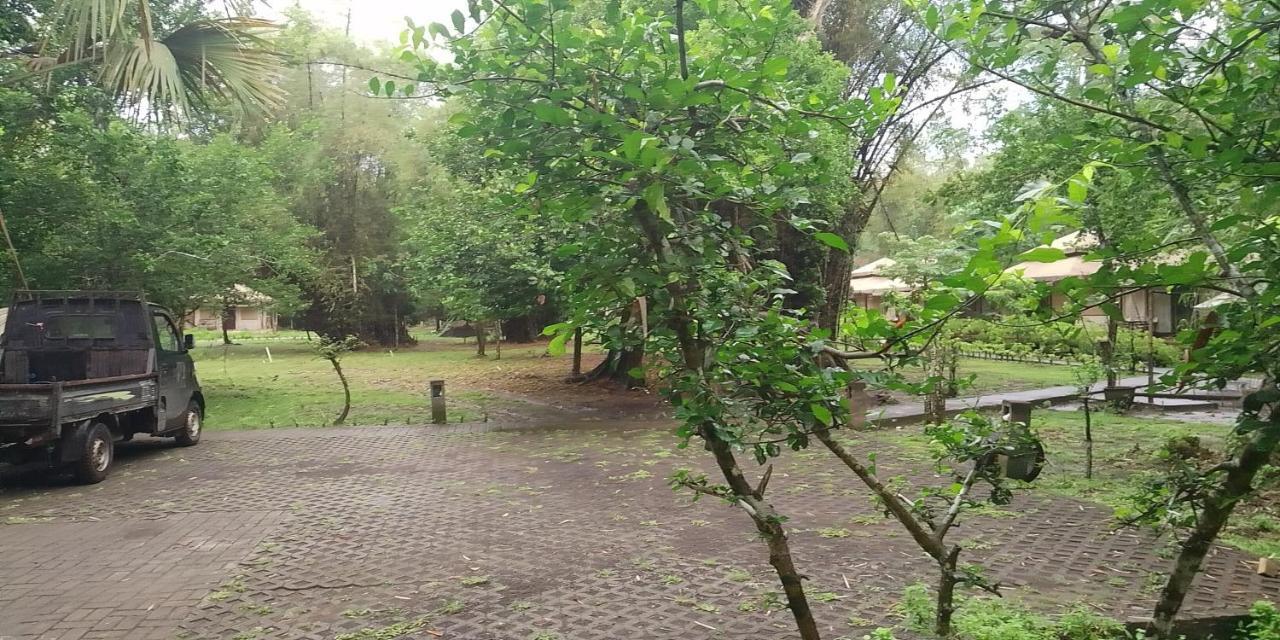 Jawa Jiwa G-Land Resort Dadapan Luaran gambar